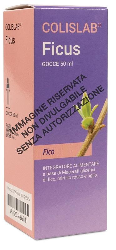ND Ldf Ficus Gocce 50 ml