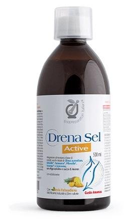 ND Fpi Drena Sel Active sciroppo Dren