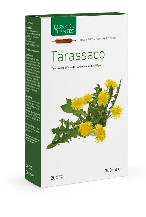 ND Tarassaco Bio 20AMPOLLE