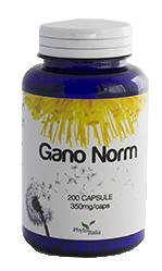 ND Gano Norm 200 capsule
