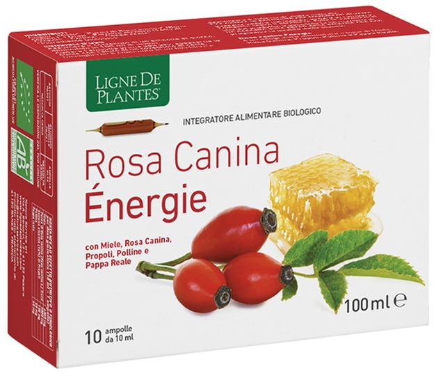 4123 ROSA CANINA ENERGIE BIO 10AMP