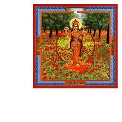 ND Durga Ma Gocce 30 ml