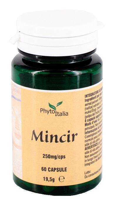 ND Minceur Ayurved 60 capsule
