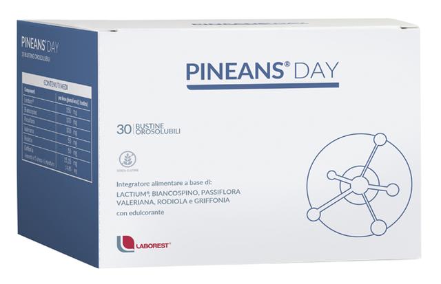 ND Pineans Day 30 bustine