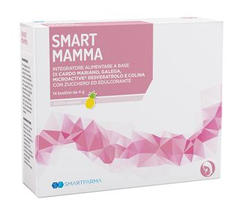 ND Smart Mamma 14 bustine Ananas