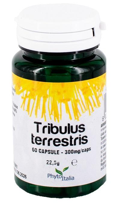 ND Tribulus Terrestris 60 capsule