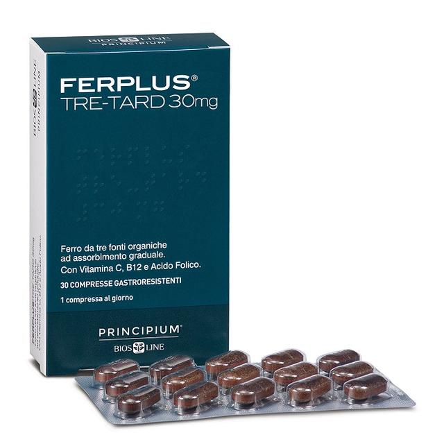 ND Principium Ferplus Tre-tard