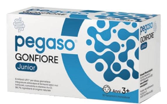 776H PEGASO GONFIORE JUNIOR 10FL