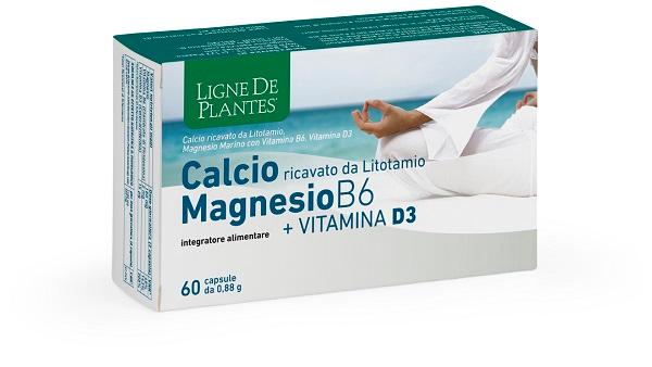 ND Calcio+magnesio B6+VITD3 60 capsule