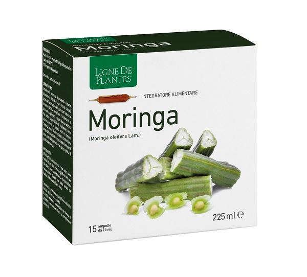ND Moringa 15AMPOLLE