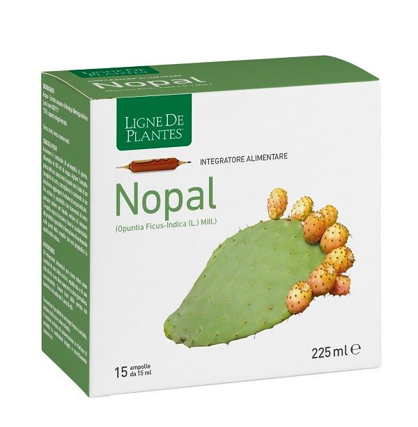 ND Nopal 15AMPOLLE