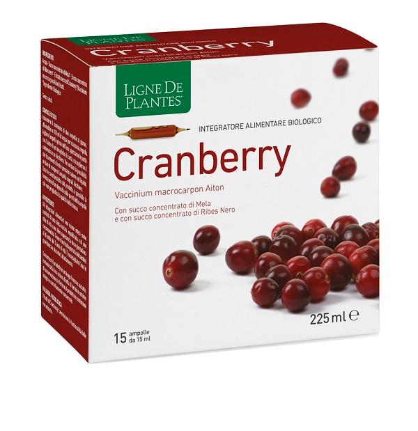 ND Cranberry Bio 15AMPOLLE