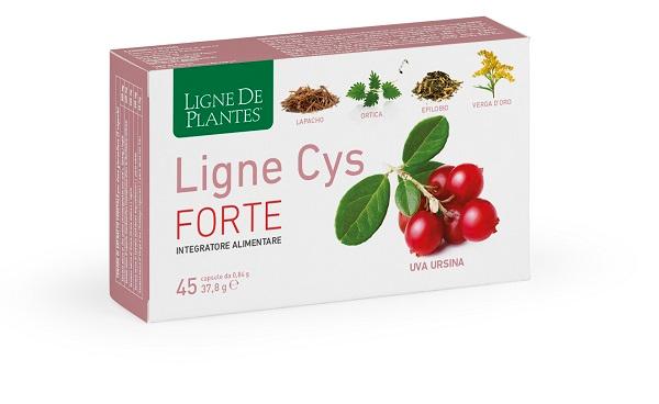 ND Ligne Cys Forte 45 capsule