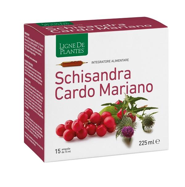 ND Schisandra Cardo Mariano 15AMP