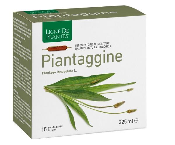 ND Piantaggine 15AMPOLLE