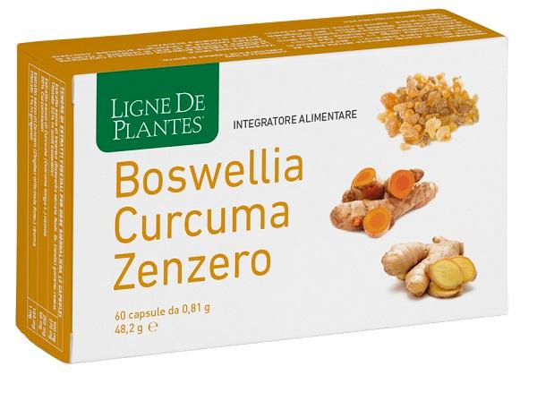 ND Boswellia Curcuma ZENZERO60CPS