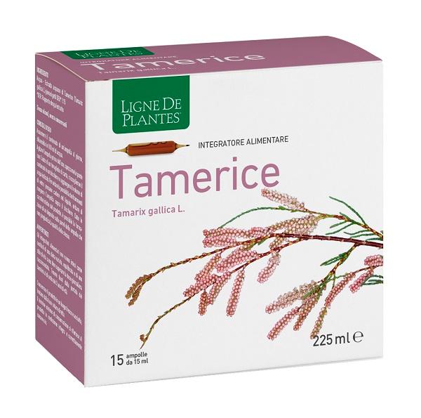 ND Tamerice 15AMPOLLE