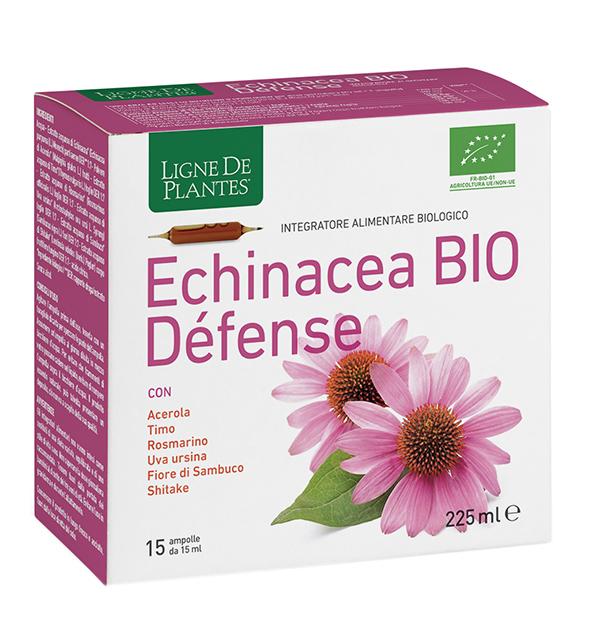 4123 ECHINACEA BIO DEFENSE15AMPOLLE