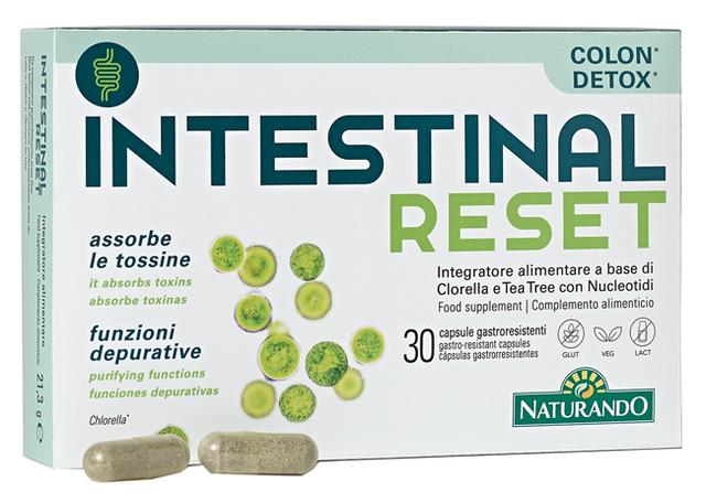 7134 INTESTINAL RESET 30CPS