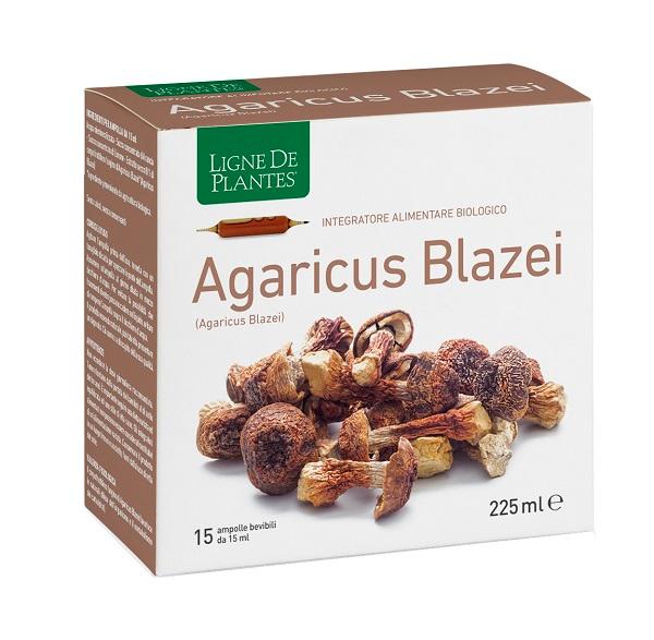 ND Agaricus Blazei Bio 15AMP 15 ml