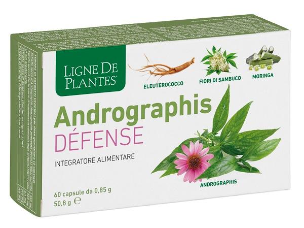 4123 Andrographis Defense 60 capsule