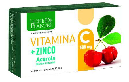 ND Vitamina C 500MG+ZI/AC/BA60CPS