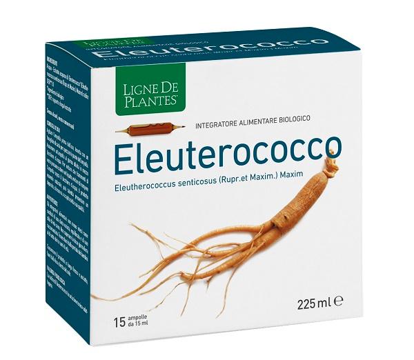 4123 ELEUTEROCOCCO BIO 15AMPOLLE