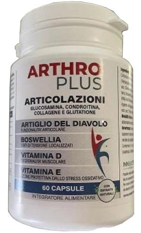 ND Arthro Plus 60 capsule Activeinn