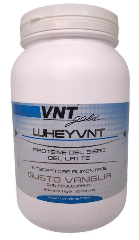 825V WHEY VNT VANIGLIA POLV 1KG