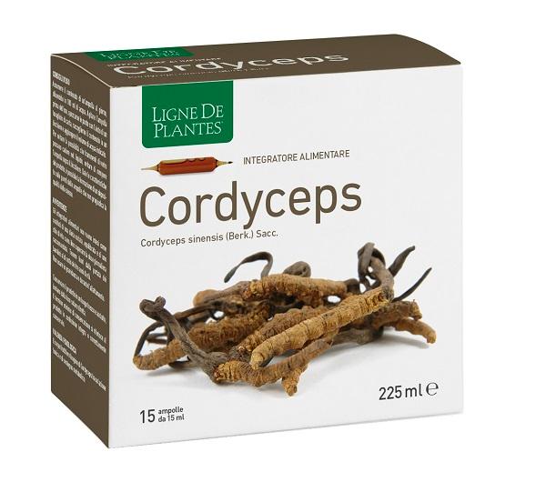 ND Cordyceps 15AB 15 ml