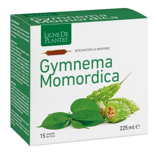 ND Ligne Gymnema Bio 15AMP 15 ml