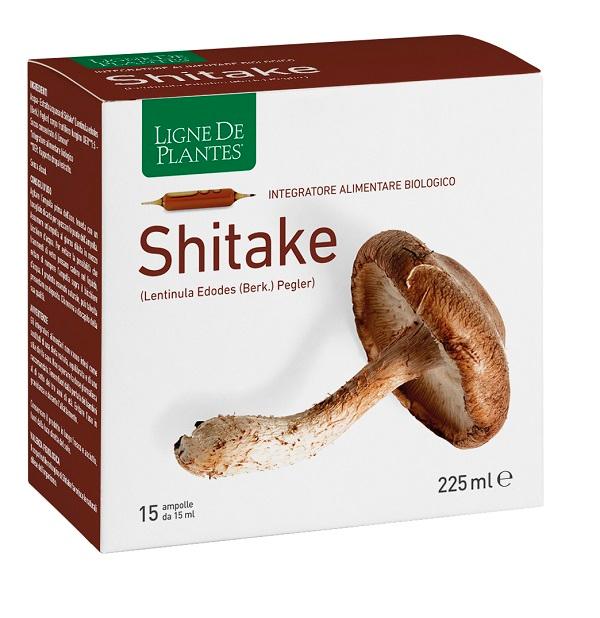 ND Ligne Shitake Bio 15AMP 15 ml
