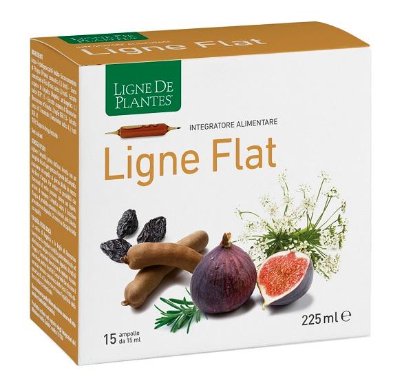 ND Ligne Flat 15AMP 15 ml