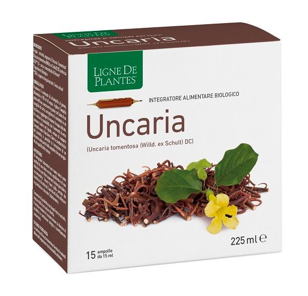 4123 LIGNE UNCARIA BIO 15AMP 15ML