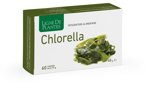ND Chlorella 60 capsule