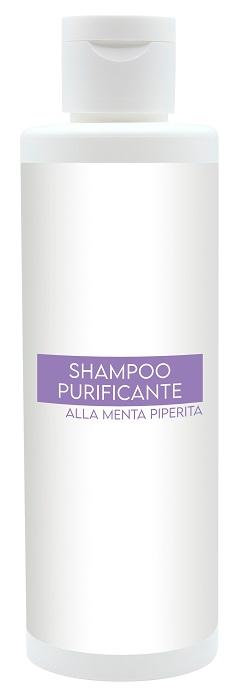 Erifra Shampoo Purificante 200 ml