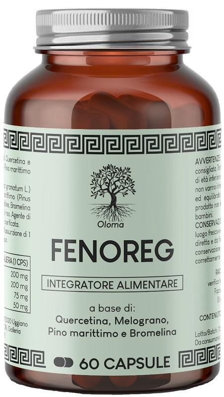 ND Fenoreg 60 capsule