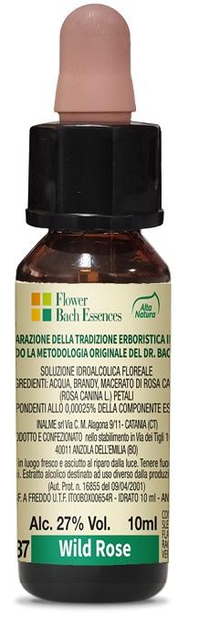 ND Wild Rose 10 ml