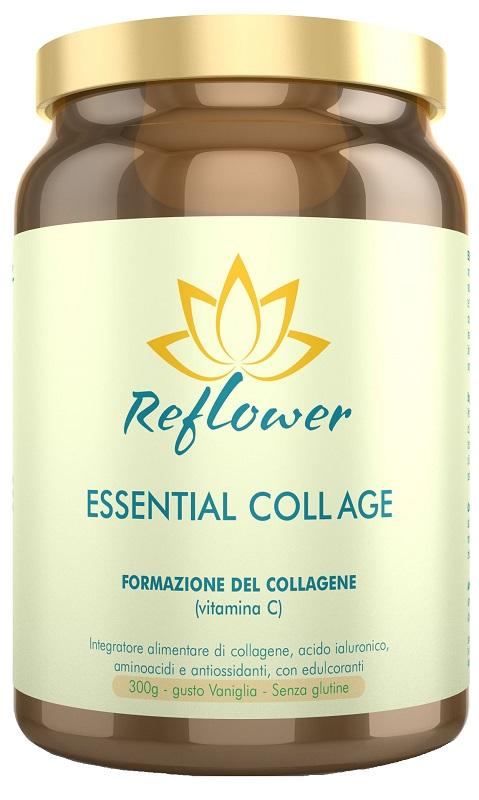 ND Reflower Essential Coll Age Va