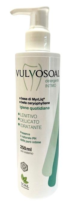 229R VULVOSOAL DETERGENTE INTIMO
