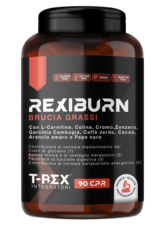 ND T-rex Rexiburn Brucia GRA90CPR