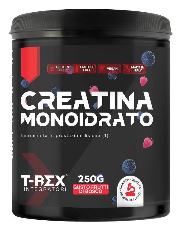 ND T-rex Creatina Mono Bosco 250 g