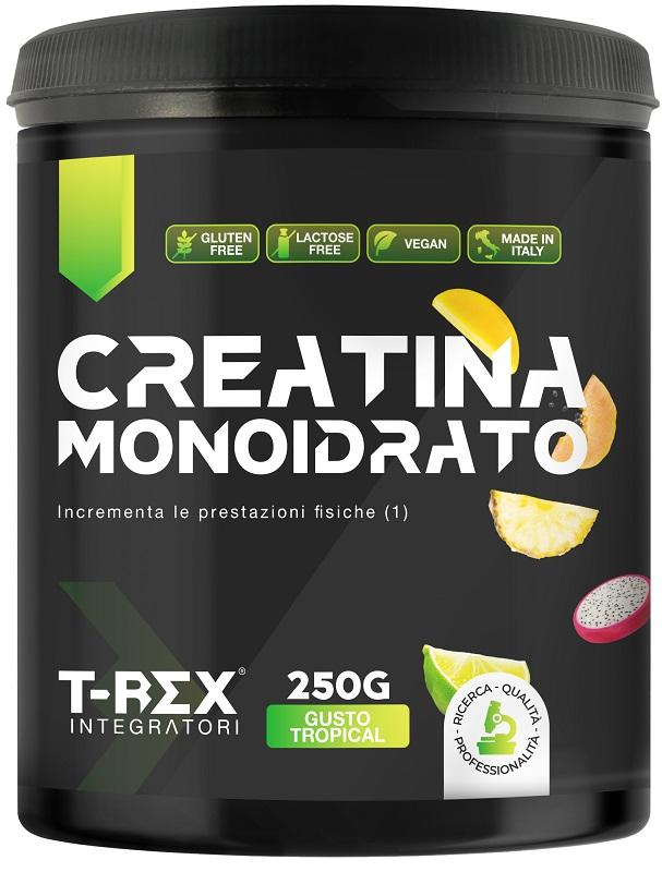 ND T-rex Creatina Mono TROPIC250G
