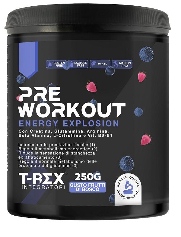 ND T-rex Pre Workout Frut BOS250G