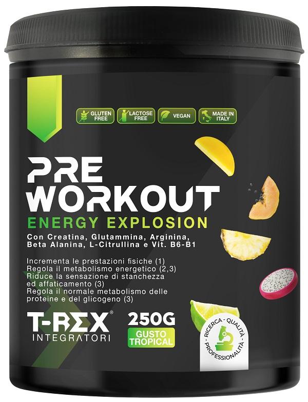 ND T-rex Pre Workout TROPICAL250G