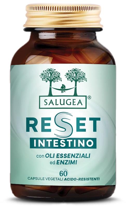 492A RESET INTESTINO SALUGEA 60CPS