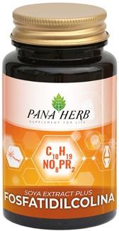 ND Panaherb FOSFATIDILCOLINA60CPS