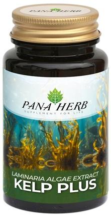 ND Panaherb Kelp Plus 90 capsule