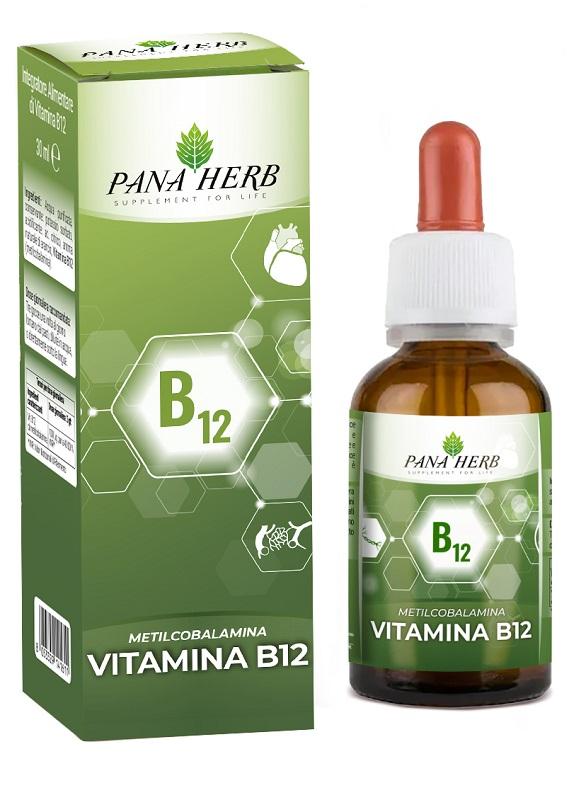 ND Panaherb Vitamina B12 METI30ML