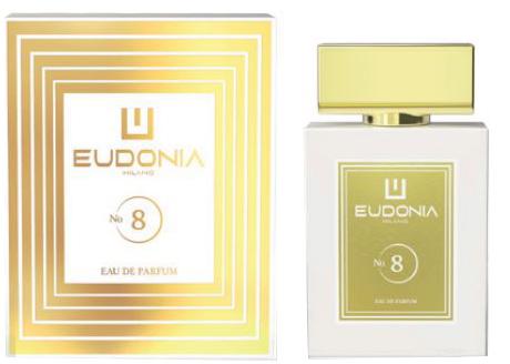 Eudonia Eudonia N8